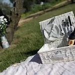 Grappoli Di Sole