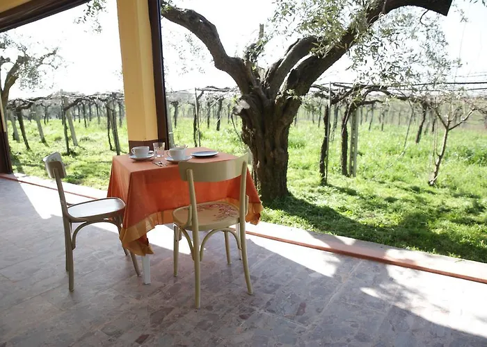 Grappoli Di Sole * רומא