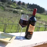 Alloggio per agriturismo Grappoli Di Sole Roma