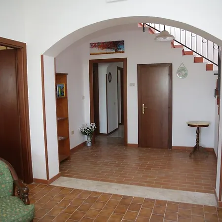 Grappoli Di Sole
