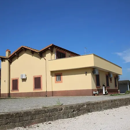 Grappoli Di Sole