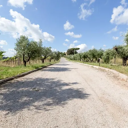 Gospodarstwo agroturystyczne Grappoli Di Sole