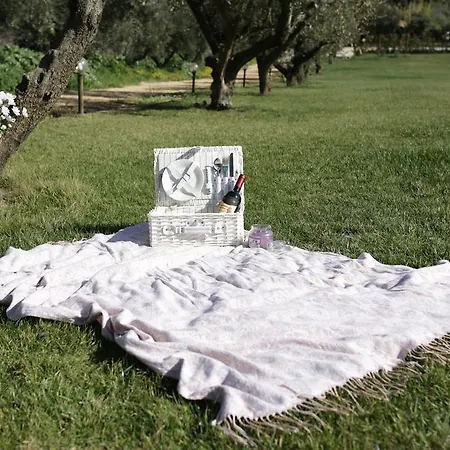 Grappoli Di Sole Farm stay