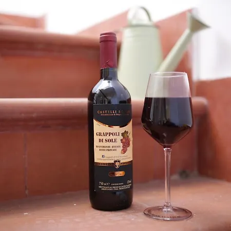 Grappoli Di Sole مزرعة للإقامة *