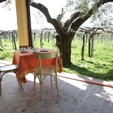 Grappoli Di Sole * روما