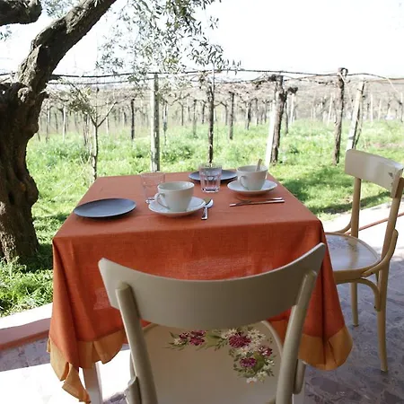 مزرعة للإقامة Grappoli Di Sole