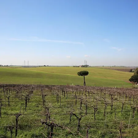 Gospodarstwo agroturystyczne Grappoli Di Sole *