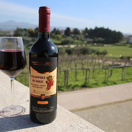 Grappoli Di Sole مزرعة للإقامة *