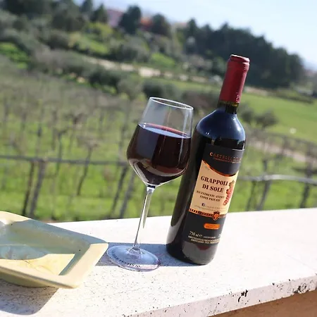 مزرعة للإقامة Grappoli Di Sole روما