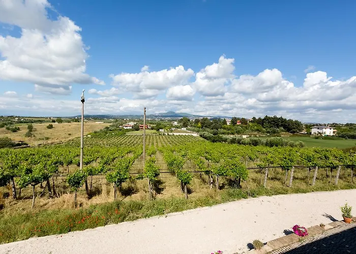 Agroturismo Grappoli Di Sole *