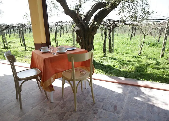 Agroturismo Grappoli Di Sole Roma