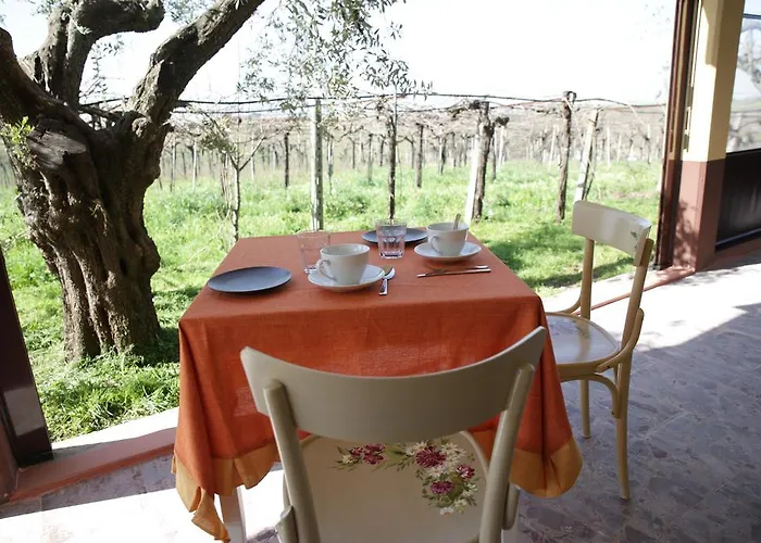 Agroturismo Grappoli Di Sole