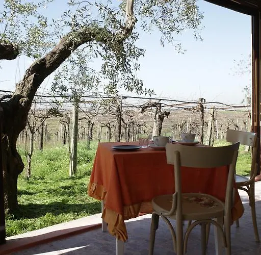 Agroturismo Grappoli Di Sole *