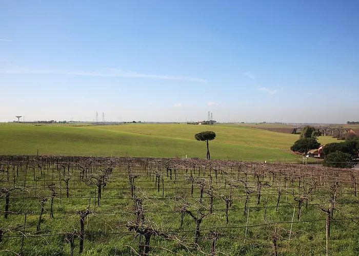 Gospodarstwo agroturystyczne Grappoli Di Sole *