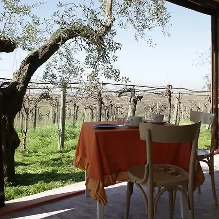 ファームステイ Grappoli Di Sole *